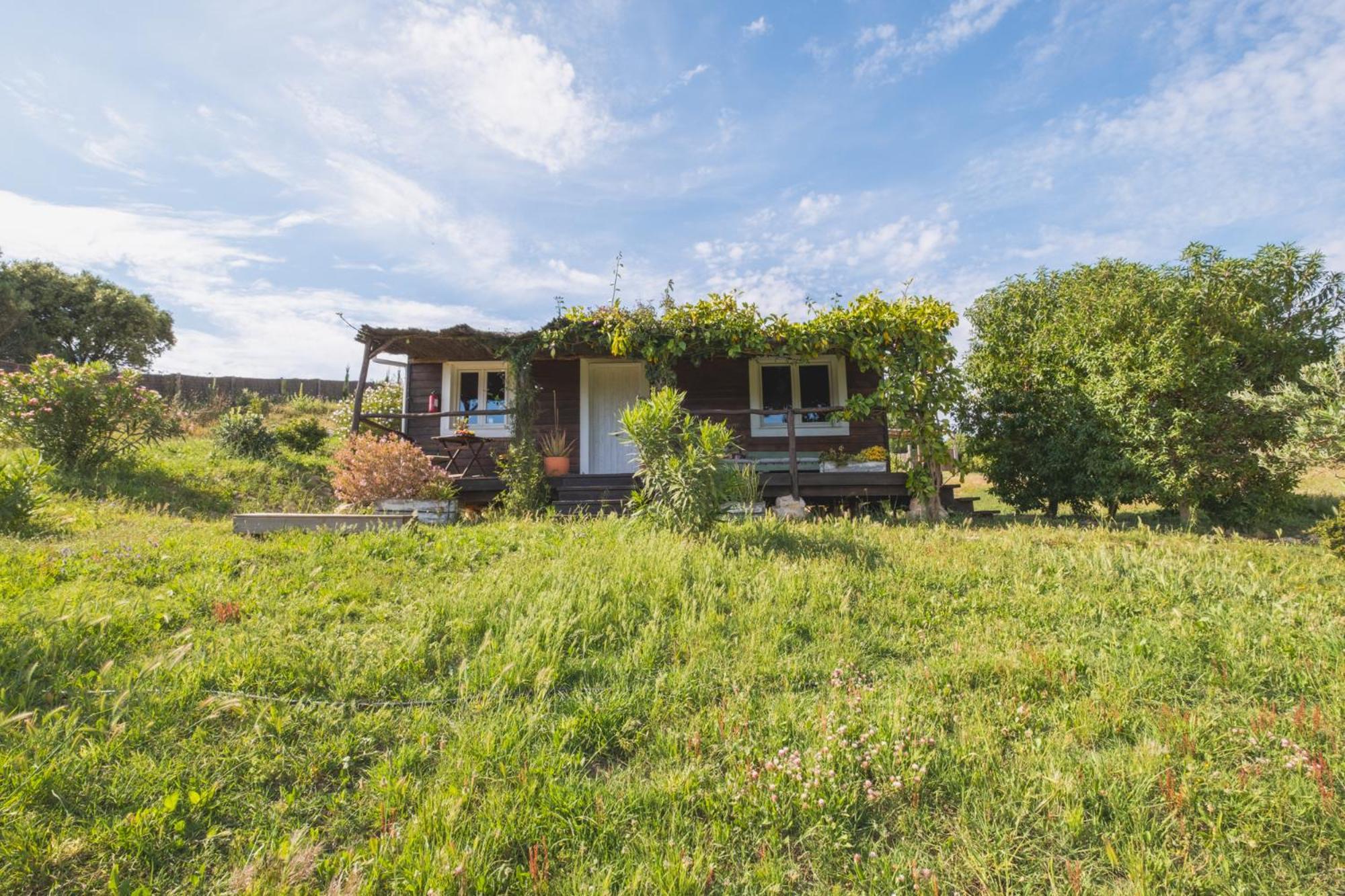 Villa Ruralcamomo à Cadix Extérieur photo