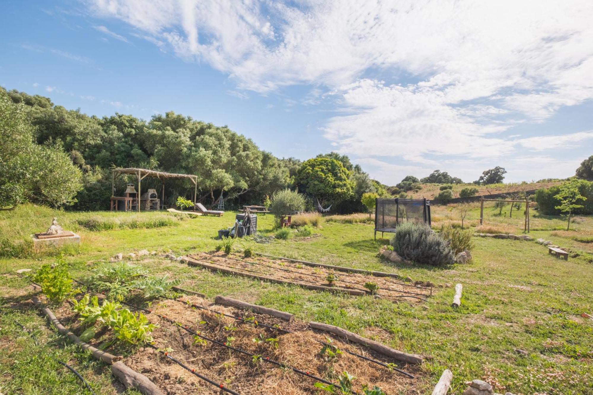 Villa Ruralcamomo à Cadix Extérieur photo
