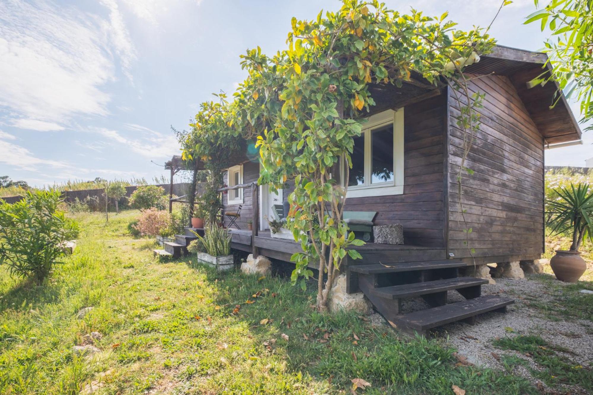 Villa Ruralcamomo à Cadix Extérieur photo